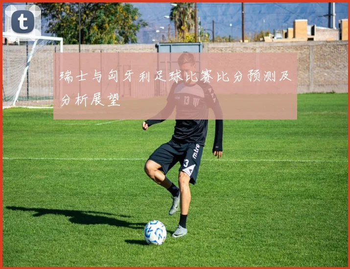 瑞士与匈牙利足球比赛比分预测及分析展望