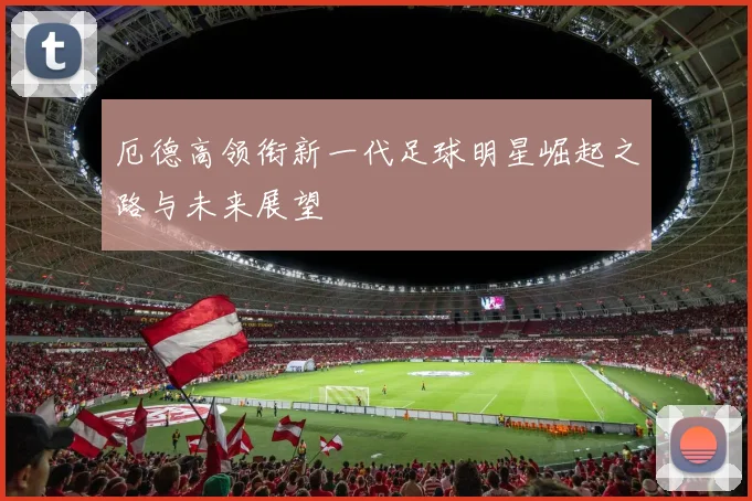厄德高领衔新一代足球明星崛起之路与未来展望