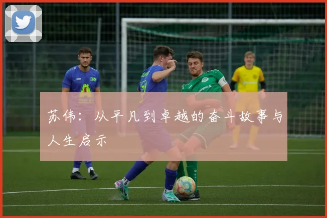 苏伟：从平凡到卓越的奋斗故事与人生启示